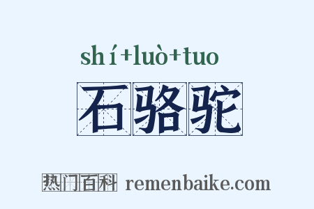 石骆驼是什么意思的图片